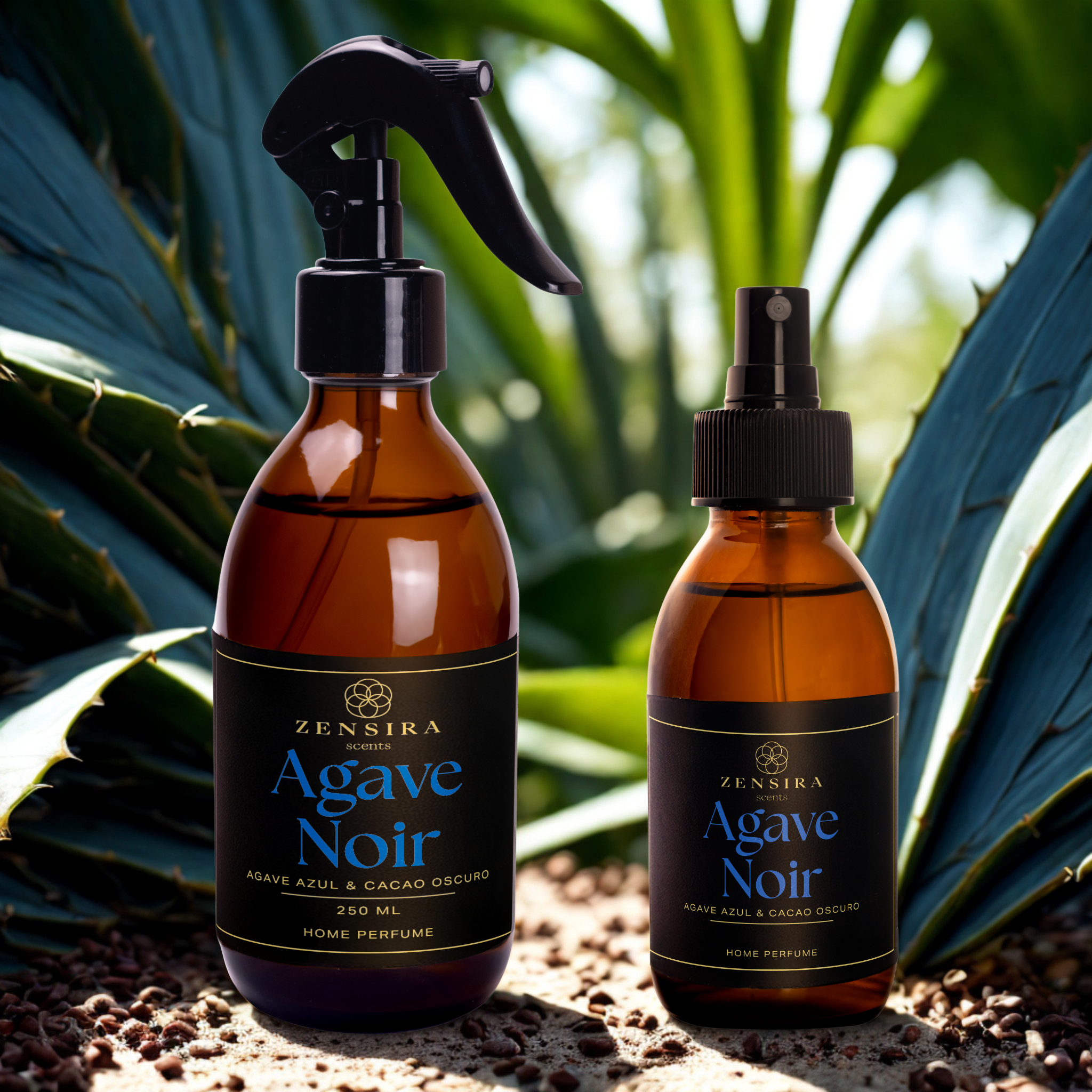 Agave Noir