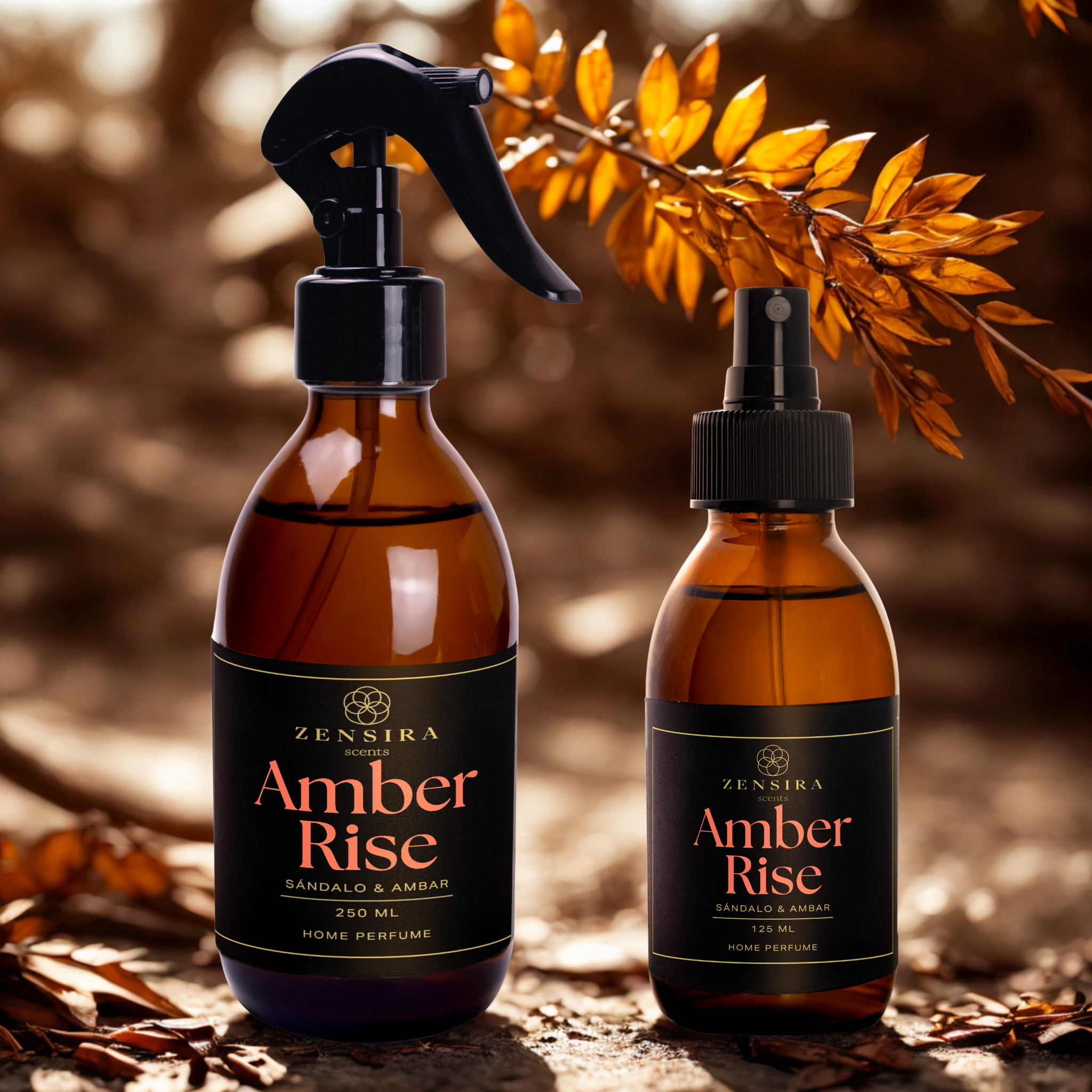Amber Rise
