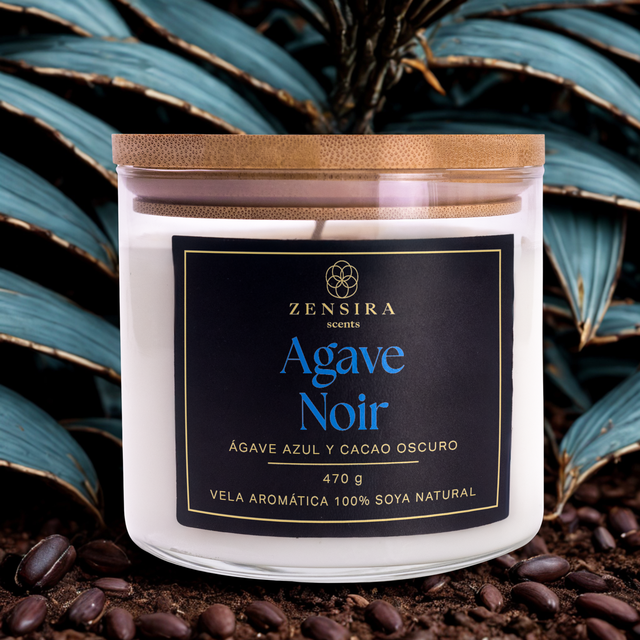 Agave Noir